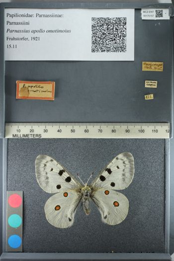 Media type: image;   Entomology 175157